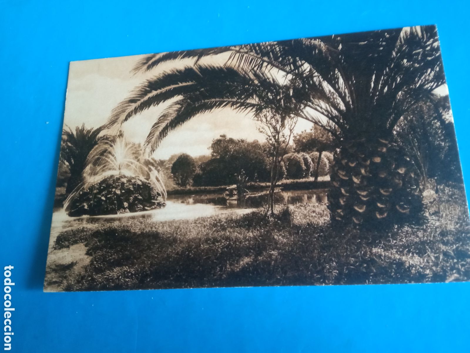 Postales: Antigua postal fotogr&aacute;fica, Santander, Jardines del Muelle, Colecci&oacute;n, Cuadros monta&ntilde;eses