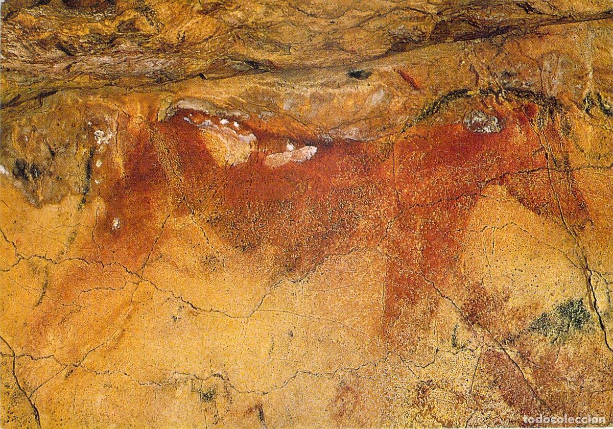 Postales: Postal de las Cuevas de Altamira: Pintura rupestre de un caballo