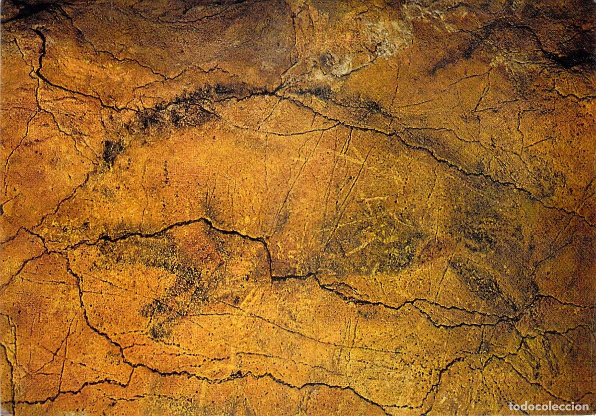 Postales: Postal de Pintura Rupestre de Jabal&iacute; en Cuevas de Altamira