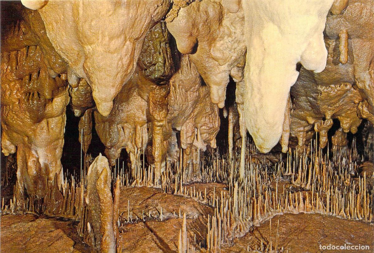 Postales: Postal de las Cuevas de Altamira Estalactitas y Estalagmitas