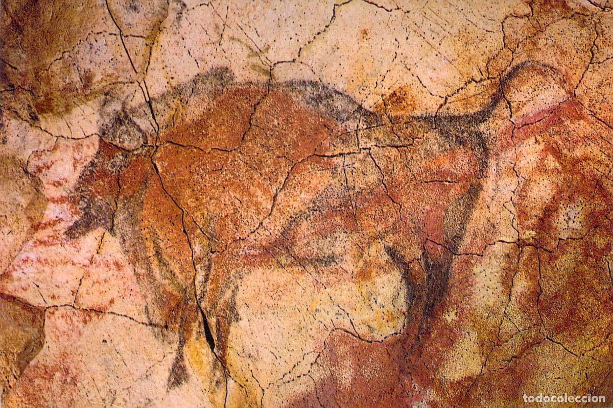 Postales: Postal de Pintura Rupestre de Bisonte en Cuevas de Altamira, Cantabria