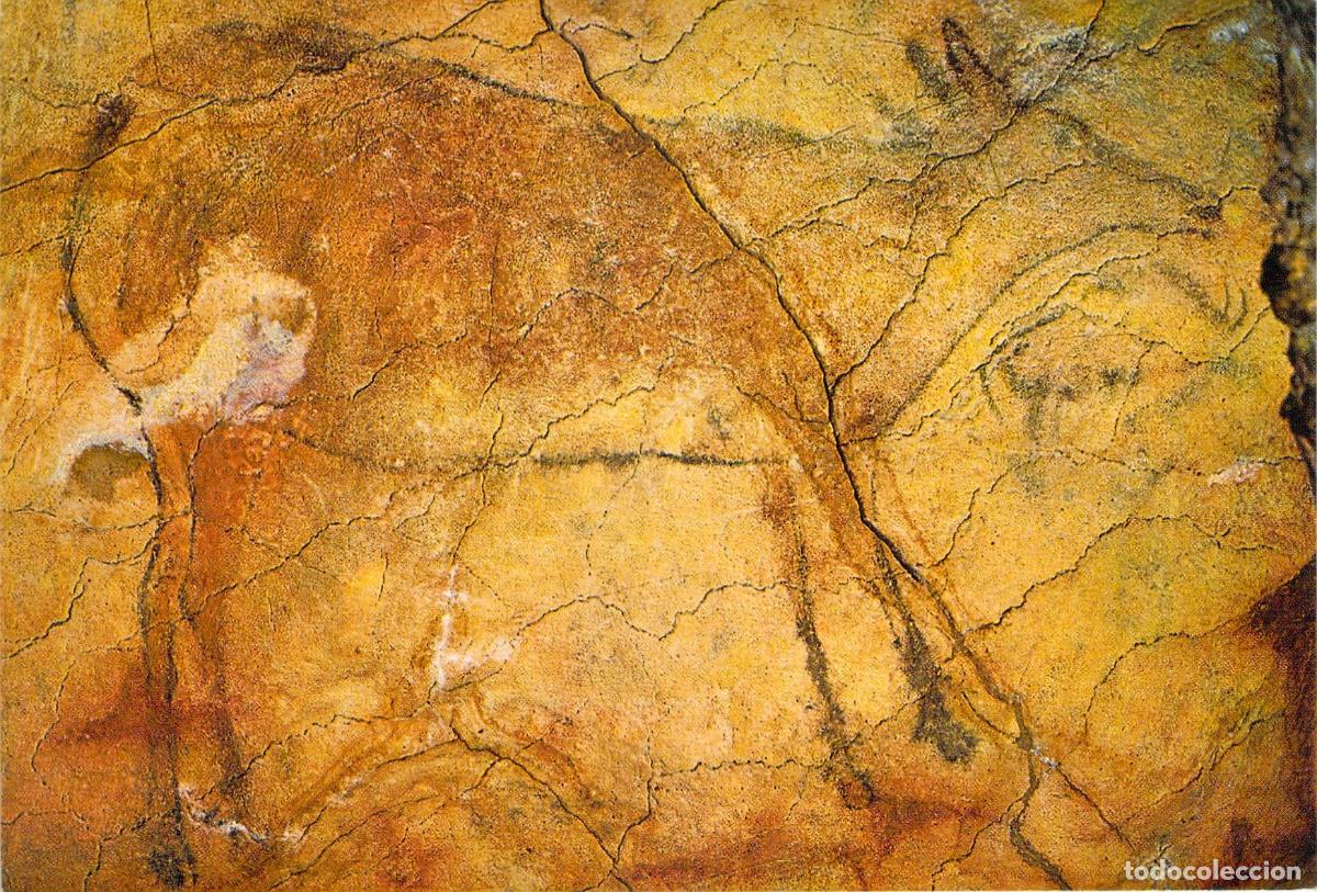Postales: Postal de las Cuevas de Altamira Arte Rupestre