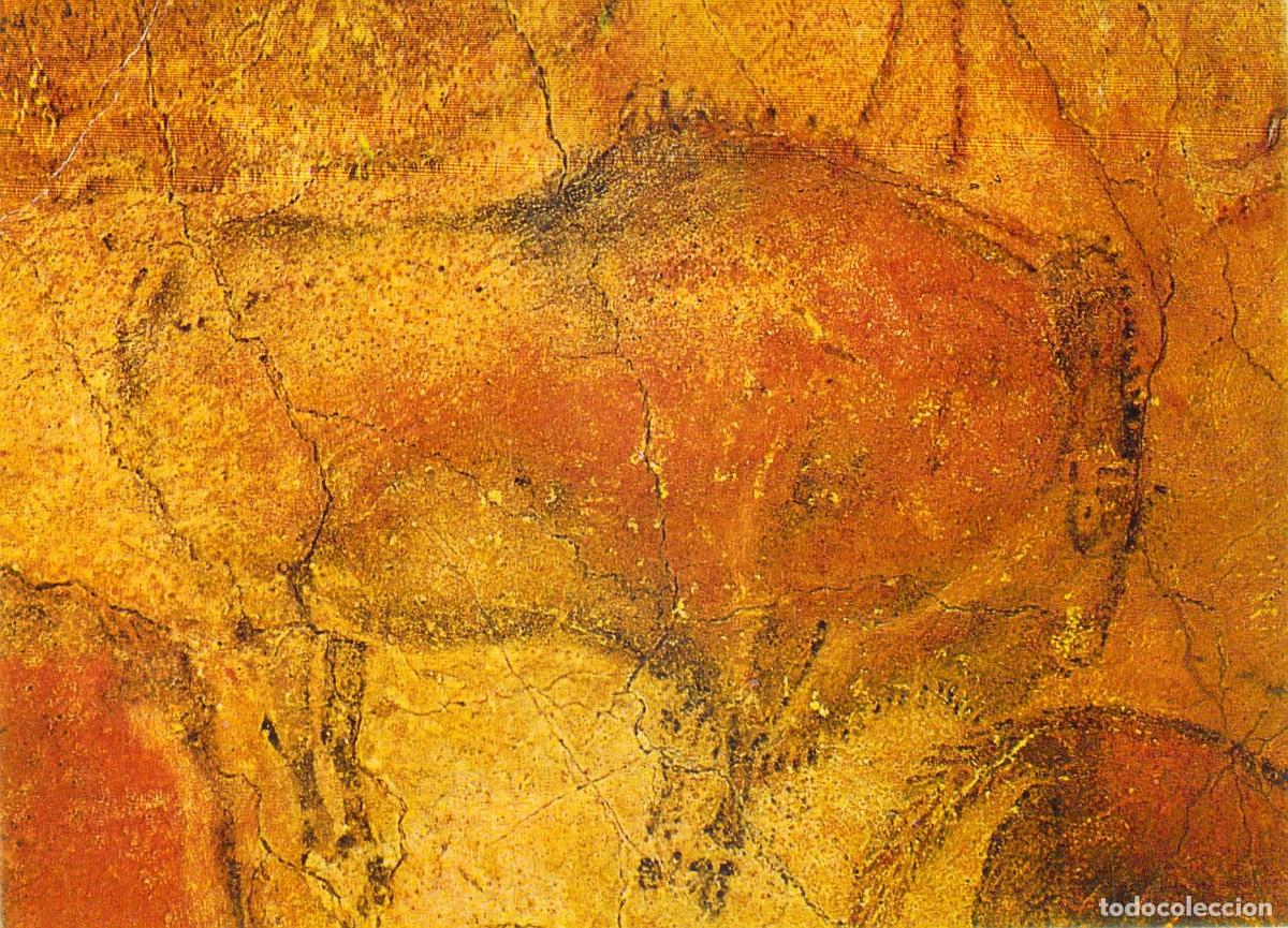 Postales: Postal de las Cuevas de Altamira: Pintura Rupestre de Bisonte