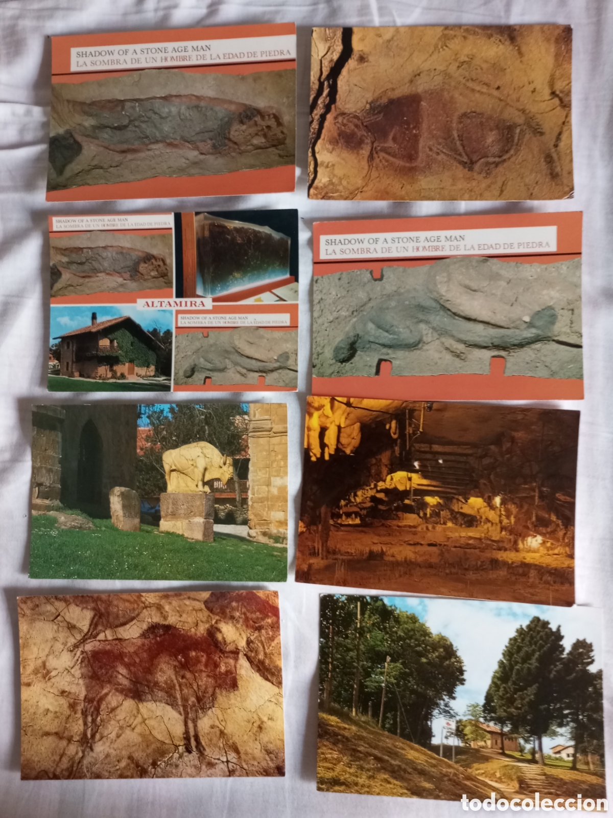 Postales: 8 postales cuevas de Altamira.Santander.sin circular