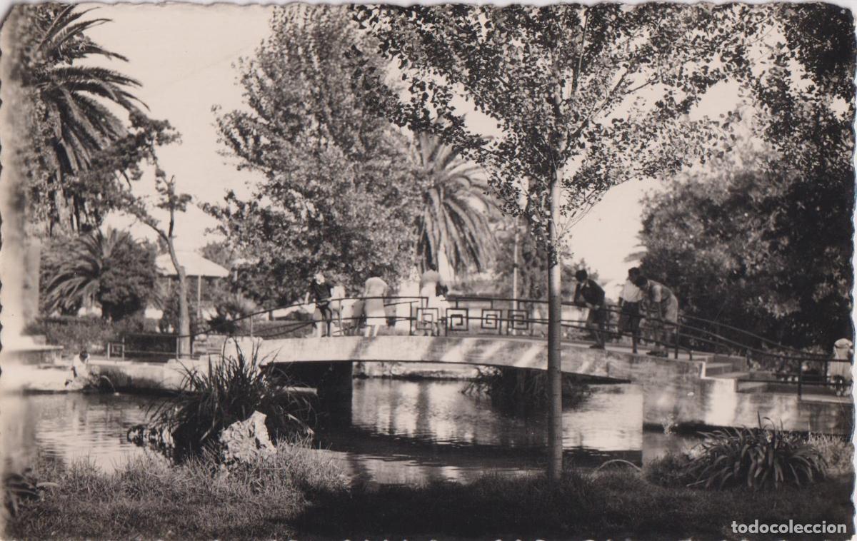 Postales: SANTANDER, LAGO DEL JARDIN DE PEREDA - DOMINGUEZ N&ordm;53 - S/C