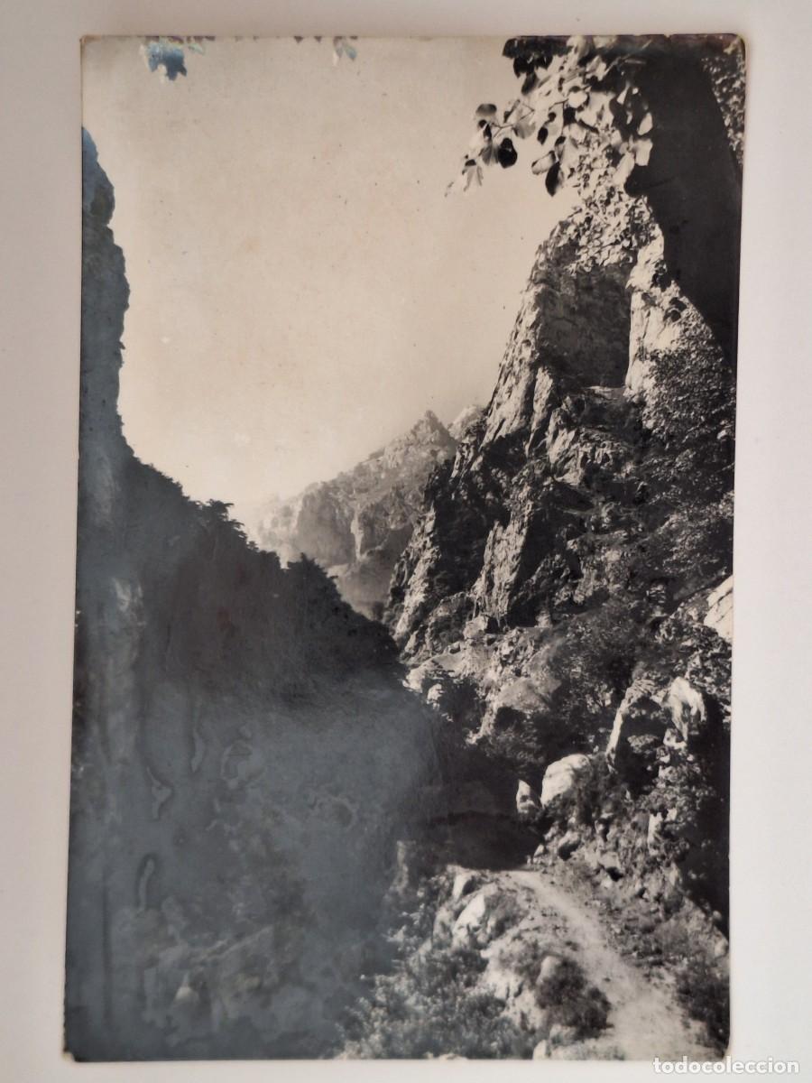 Postales: TARJETA POSTAL PICOS EUROPA VALLE VALDEON HOZ DE CAIN RV 3100