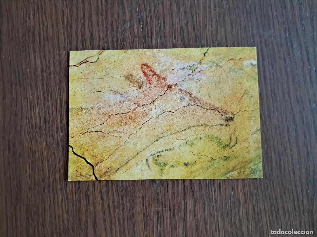 Postales: postal de Espa&ntilde;a, pintura de cabeza de cierva, cueva de Altamira, Santillana del Mar, Santander.