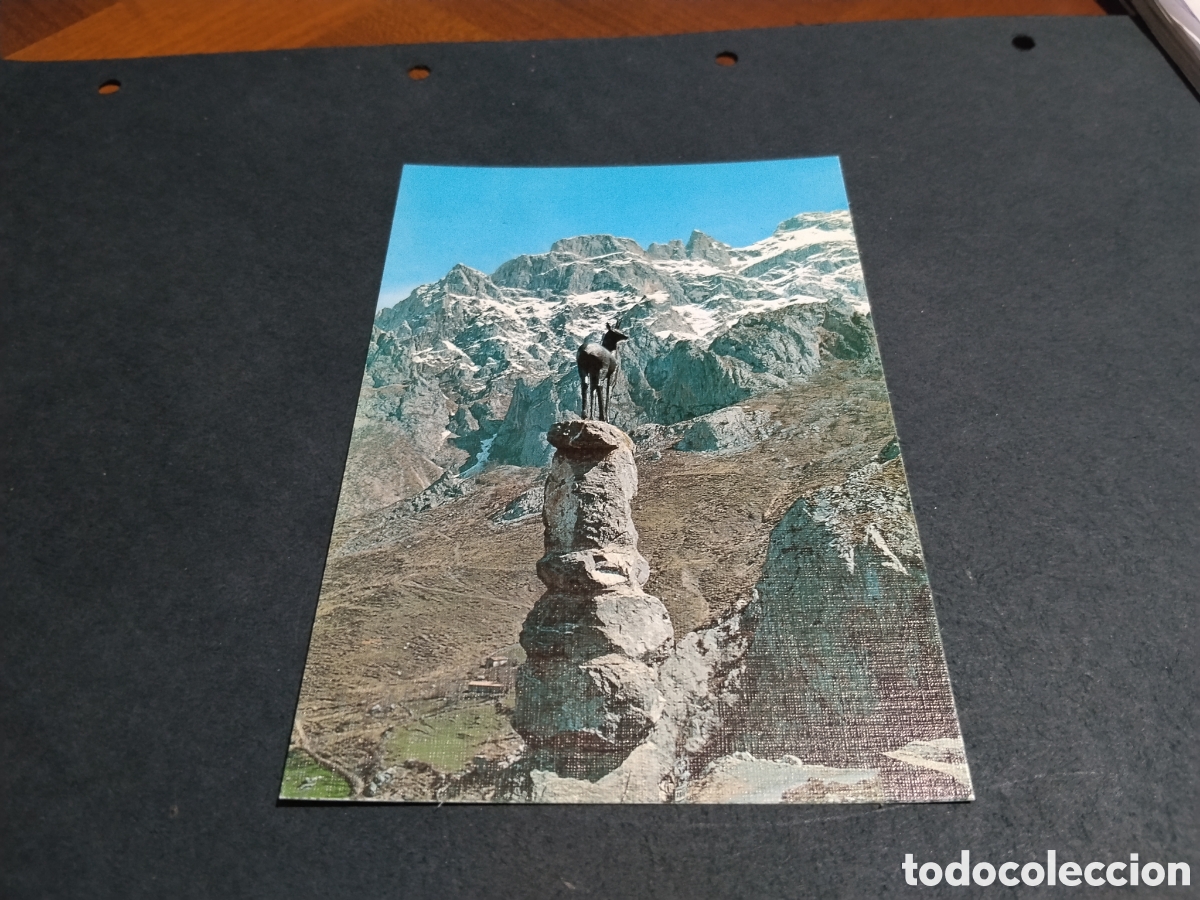 Postales: Postal mirador del tombo,valle de Valdeon