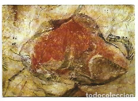 Postales: BISONTE.- CUEVA DE ALTAMIRA, SANTILLANA DEL MAR