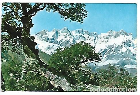 Postcards: MACIZO ORIENTAL DESDE LA CARRETERA DE POTES A ESPINAMA.- PICOS DE EUROPA