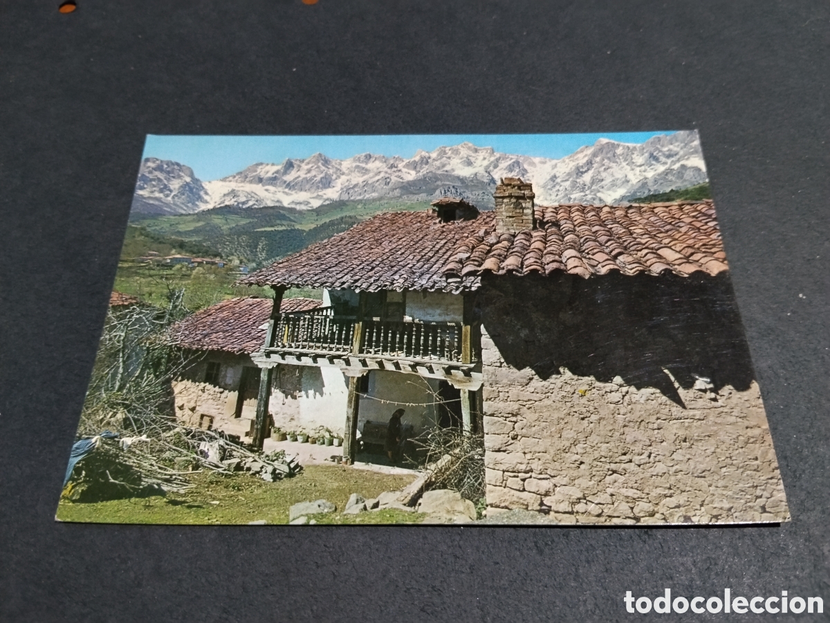 Postales: Postal Potes........