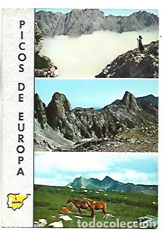 Postales: MAR DE NIEBLA SOBRE EL CARES - SUBIDA A PE&Ntilde;A VIEJA - COLLADA DE FRONISCO.- PICOS DE EUROPA
