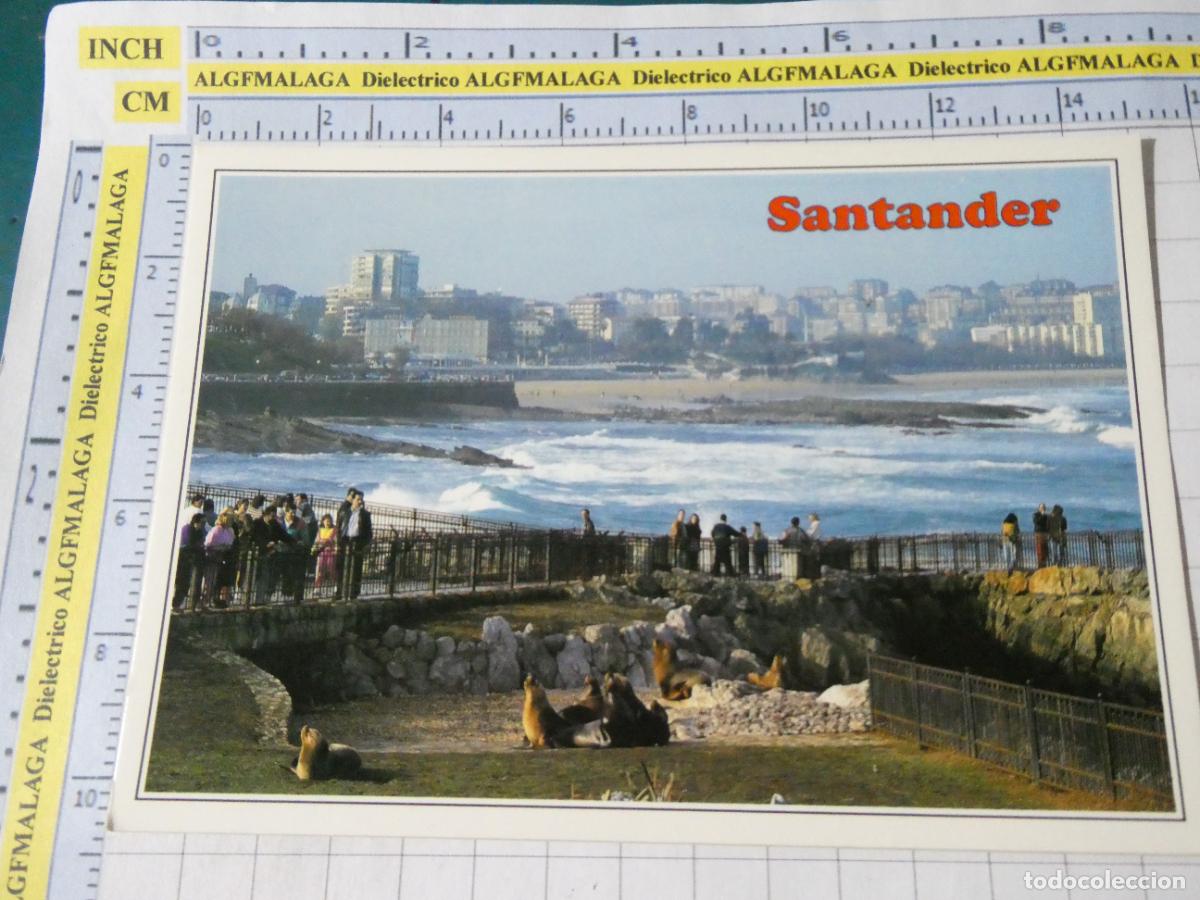 Postales: POSTAL DE CANTABRIA. A&Ntilde;O 1992 SANTANDER PEN&Iacute;NSULA MAGDALENA Y SARDINERO. FOCAS 99 BEDIA. 2555