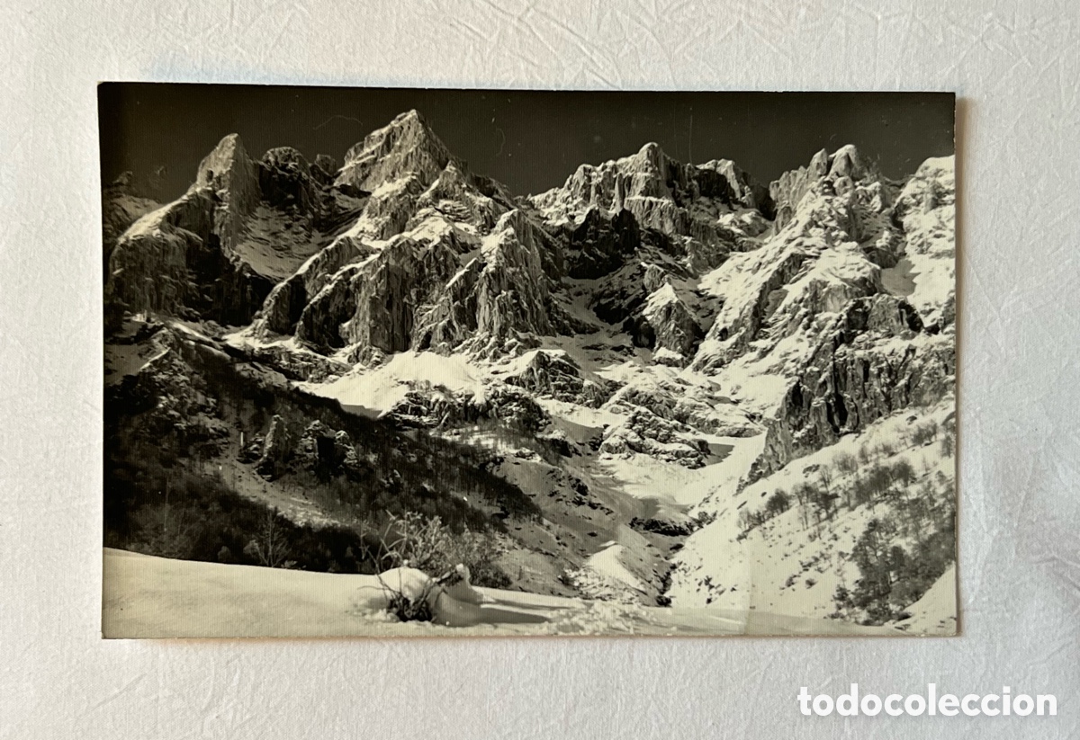 Postales: REGI&Oacute;N DE LIEBANA Y PICOS DE EUROPA (Santander) Postal fotogr&aacute;fica Foto E. Bustamante