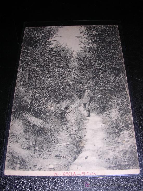 Postcards: 20 VECLA, EL CA&Ntilde;O