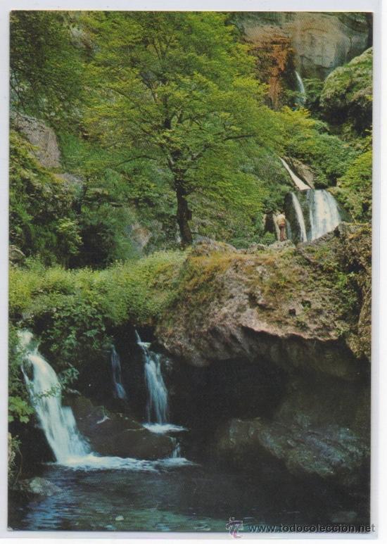 Postales: TARJETA POSTAL DE RIOPAR LAGO DE LAS HADAS ALBACETE