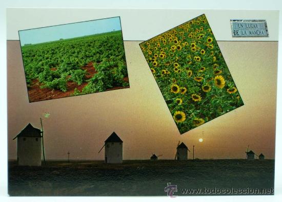 Postkarten: Postal Un lugar de La Mancha molinos girasoles vi&ntilde;as Ed Fiter 1985 sin circular
