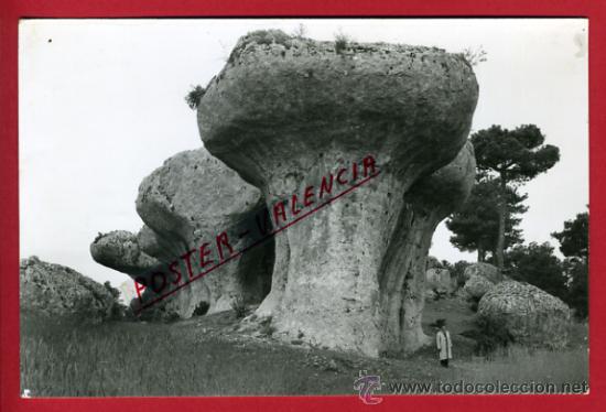 Postales: CUENCA, LA CIUDAD ENCANTADA, LAS SETAS,   P65447 - Foto 1