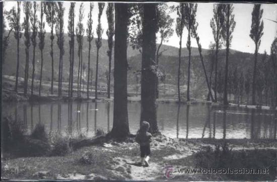 Cartes Postales: SIERRA DE ALCARAZ (ALBACETE)- FOTOGRAF&Iacute;A