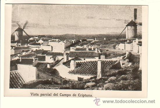 Postales: CAMPO DE CRIPTANA (CIUDAD REAL).- VISTA PARCIAL