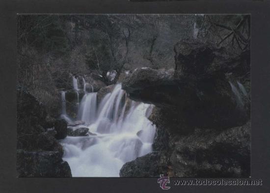 Postales: Riopar. Los Chorros. *Lago de las Hadas*  Ed. Imp. Bielsa. Nueva.