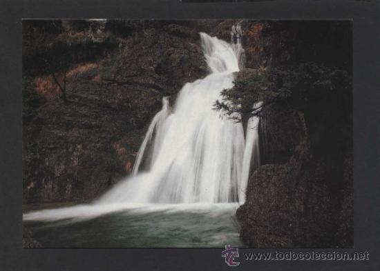 Postales: Riopar. Los Chorros. *Caldereta*  Ed. Imp. Bielsa. Nueva.