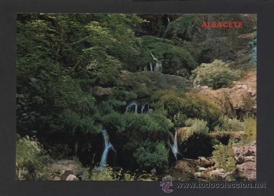 Postales: Riopar. *Los Chorros*  Ed. Paris n&ordm; 867. Nueva.