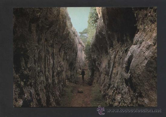 Postales: Ciudad Encantada. Ed. Fiter ref. n&ordm; 7335. Circulada.