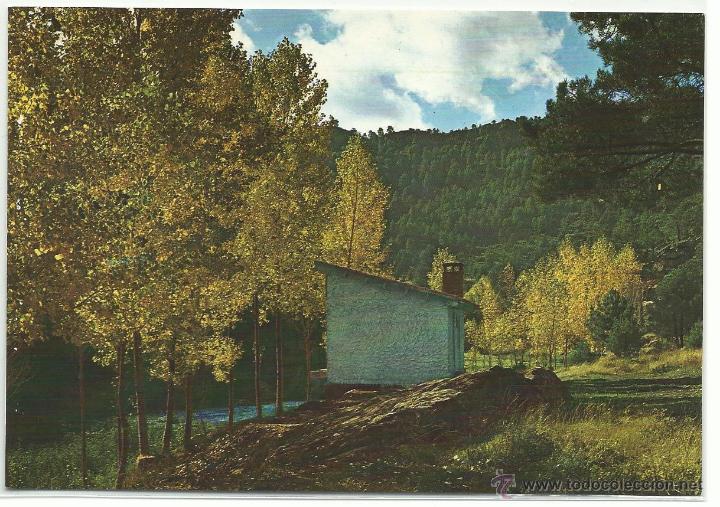Cartoline: MOLINA DE ARAGON .- BARRANCO DE LA HOZ .-LA HUELGA SETERA.-EDICIONES VISTABELLA N&ordm; 47 SIN CIRCULAR