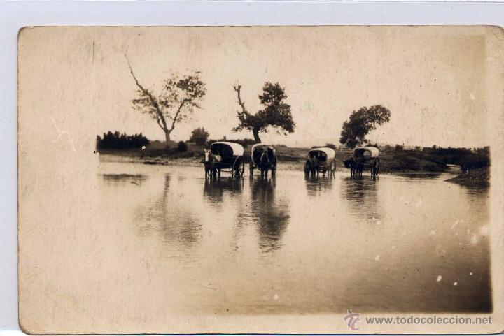 Postales: POSTAL FOTOGR&Aacute;FICA SIN LOCALIZAR