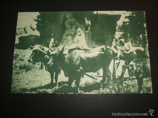 Postales: CUENCA CIUDAD ENCANTADA LABRADOR ARANDO - Foto 1