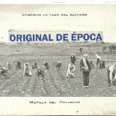 Postales: (PS-48816)POSTAL DE MOTILLA DEL PALANCAR-COGIENDO LA FLOR DEL AZAFRAN.GABINO MASSO. Lote 59946063