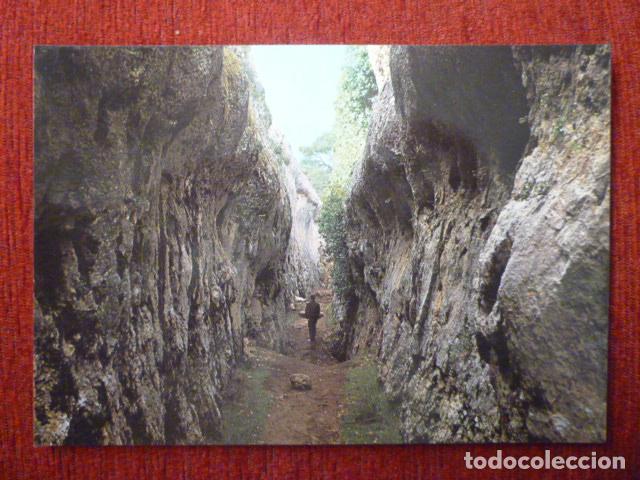 Cartes Postales: POSTAL CUENTA EL TOBOGAN DE LA CASA ENCANTADA. SIN ESCRIBIR. A&Ntilde;OS 60.