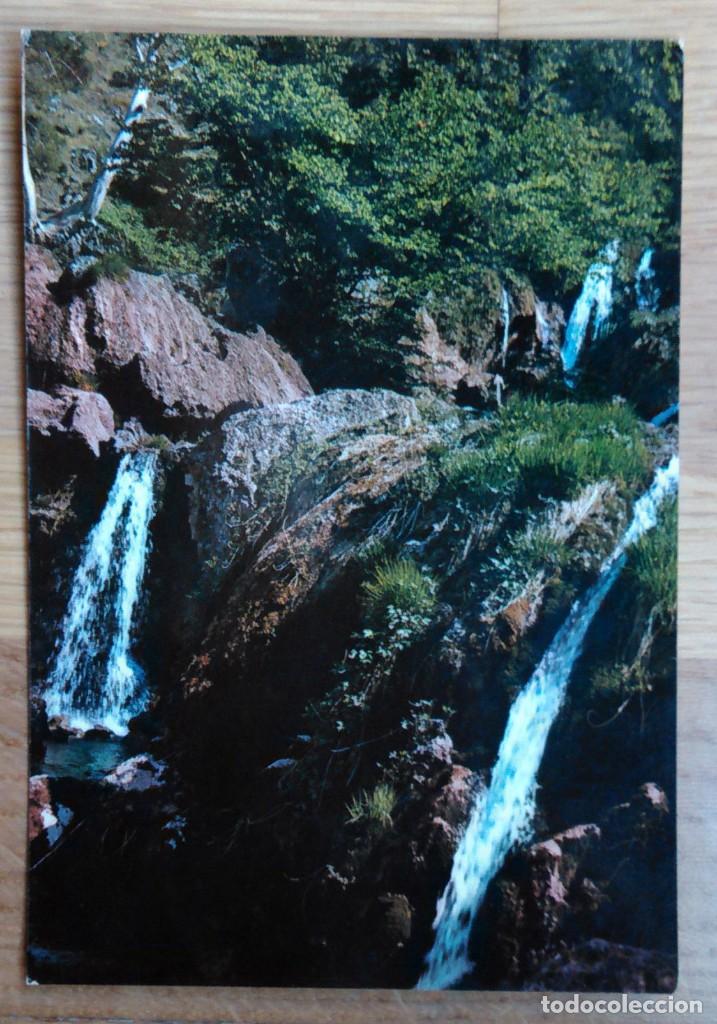 Cartes Postales: RIOPAR - LOS CHORROS - GRUTA DE LA SOMBRA