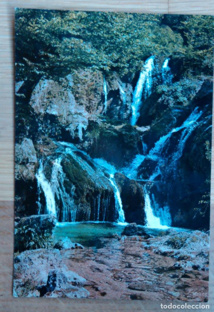 Cartes Postales: RIOPAR - LOS CHORROS, CASCADA Y LAGO DE LAS HADAS