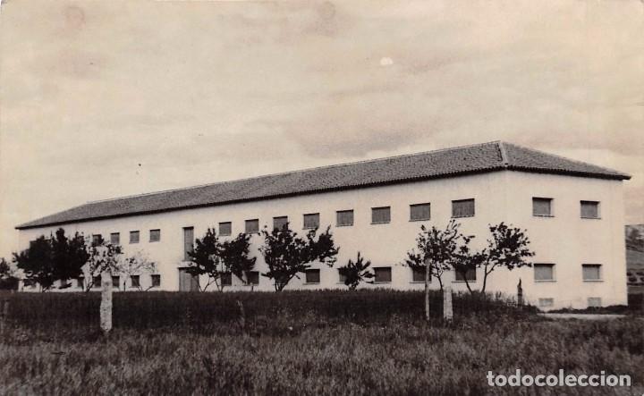 Cartes Postales: TALAVERA DE LA REINA (TOLEDO).- SECADERO DEL SR. FATA (TABACO)- FOTOGRAF&Iacute;A