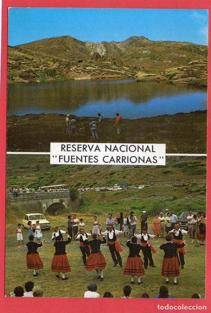 Cartes Postales: reserva nacional de fuentes carrionas. 51 lago. sicilia