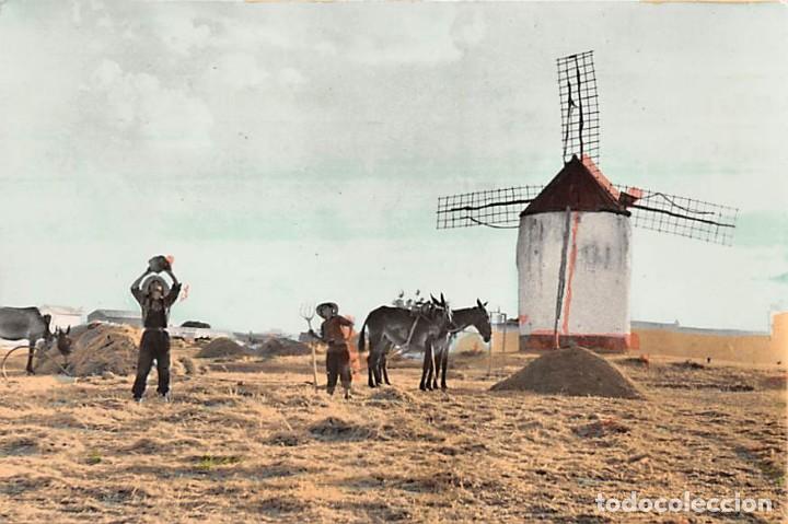 Postcards: PAISAJE MANCHEGO.- MOLINOS DE VIENTO
