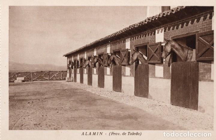 Postales: alamin - Foto 1