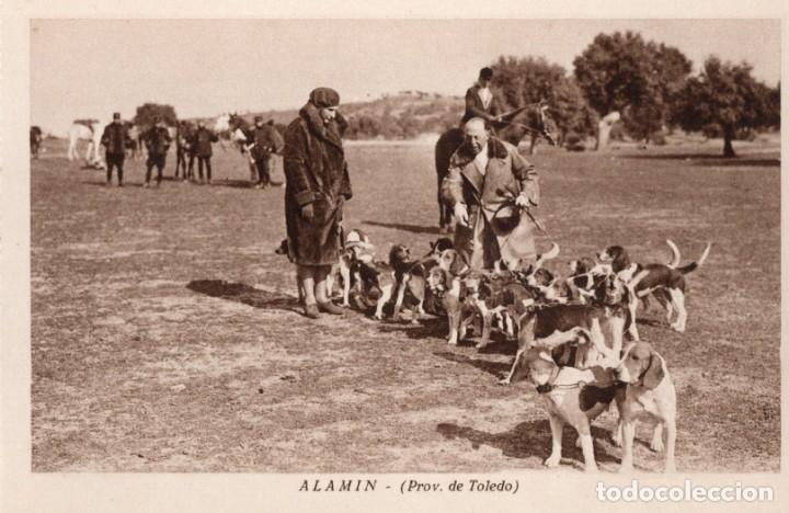 Postales: alamin - Foto 1