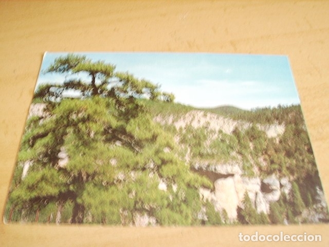 Postales: CUENCA --  SERRANIA DE CUENCA - Foto 1