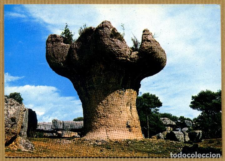 Postales: POSTAL CUENCA - EL FRUTERO - Foto 1