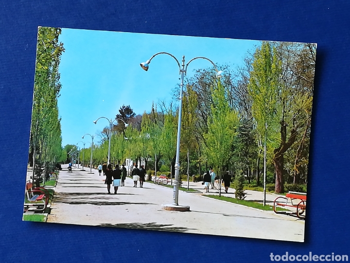 Postales: CIUDAD REAL Parque. 1964 - Foto 1