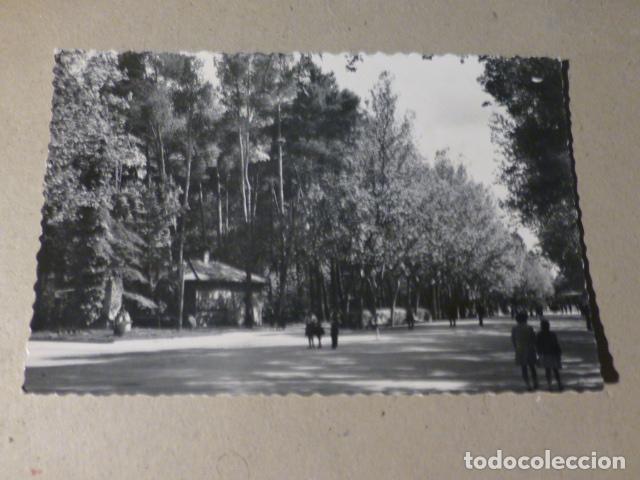 Postales: ALBACETE PASEO CENTRAL DEL PARQUE - Foto 1