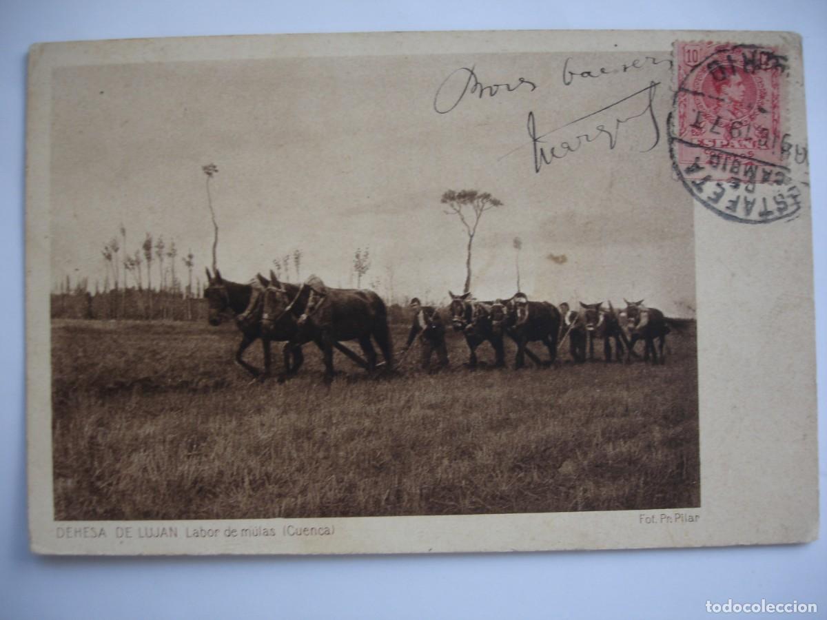 Postales: DEHESA DE LUJAN CUENCA LABOR DE MULAS - Foto 1