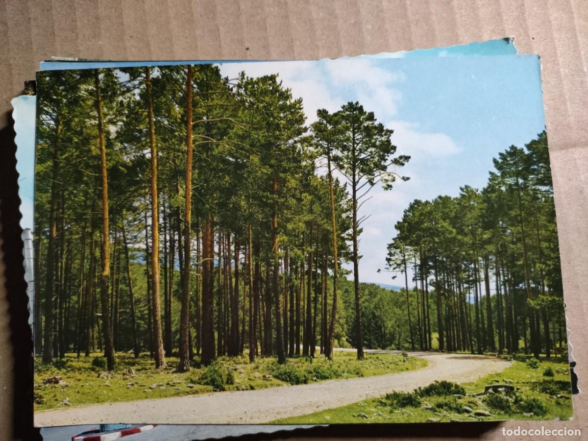 Postales: VINUESA . SORIA - Foto 1