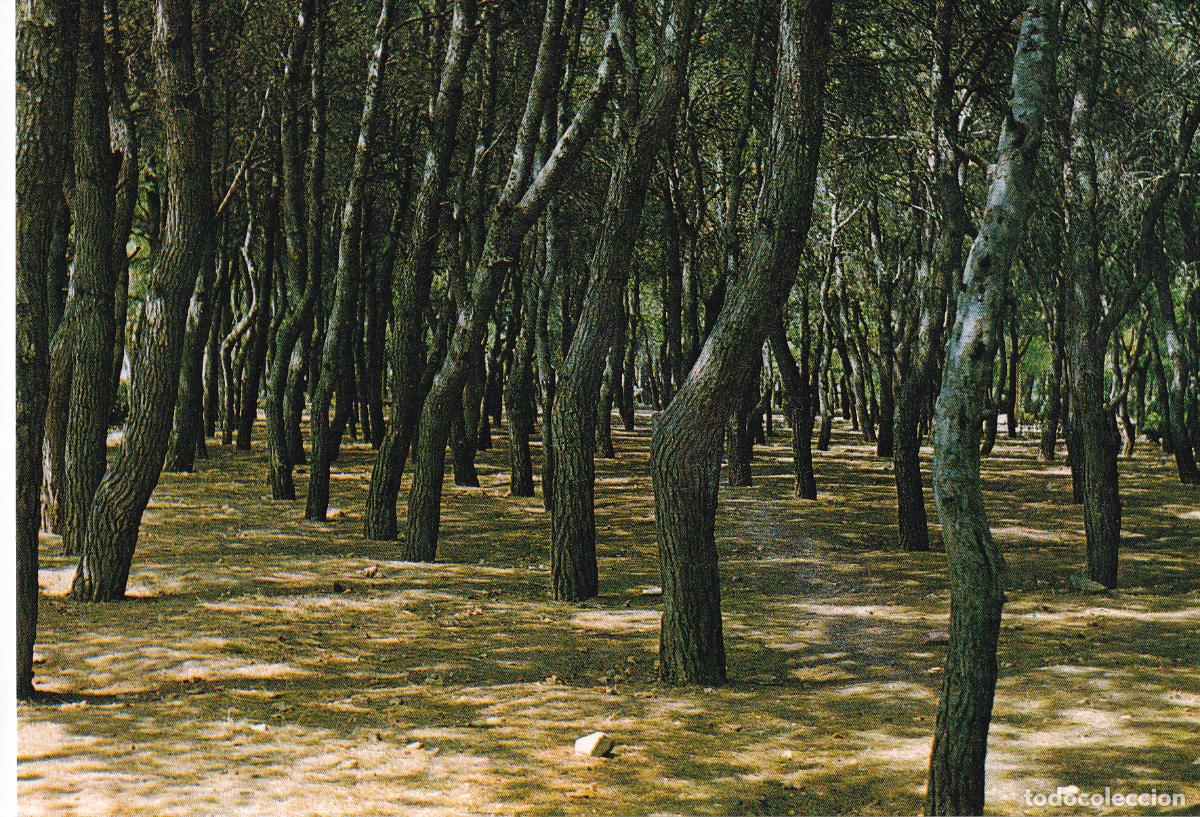 Postales: VALDEPE&Ntilde;AS - Foto 1