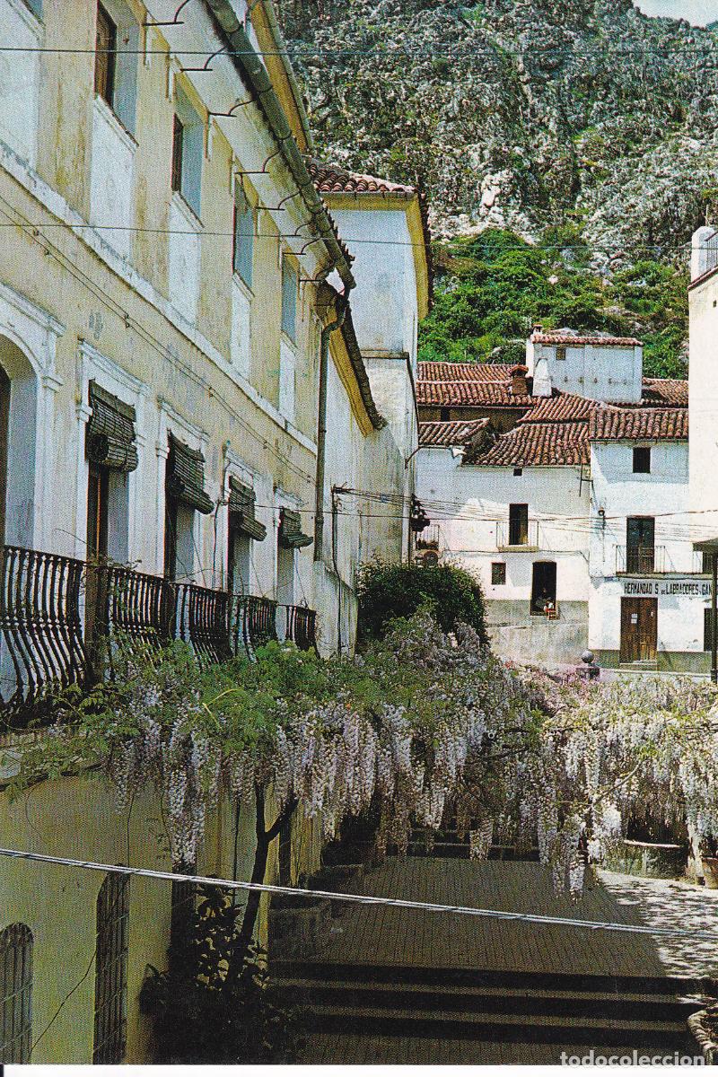 Postales: FUENCALIENTE - Foto 1