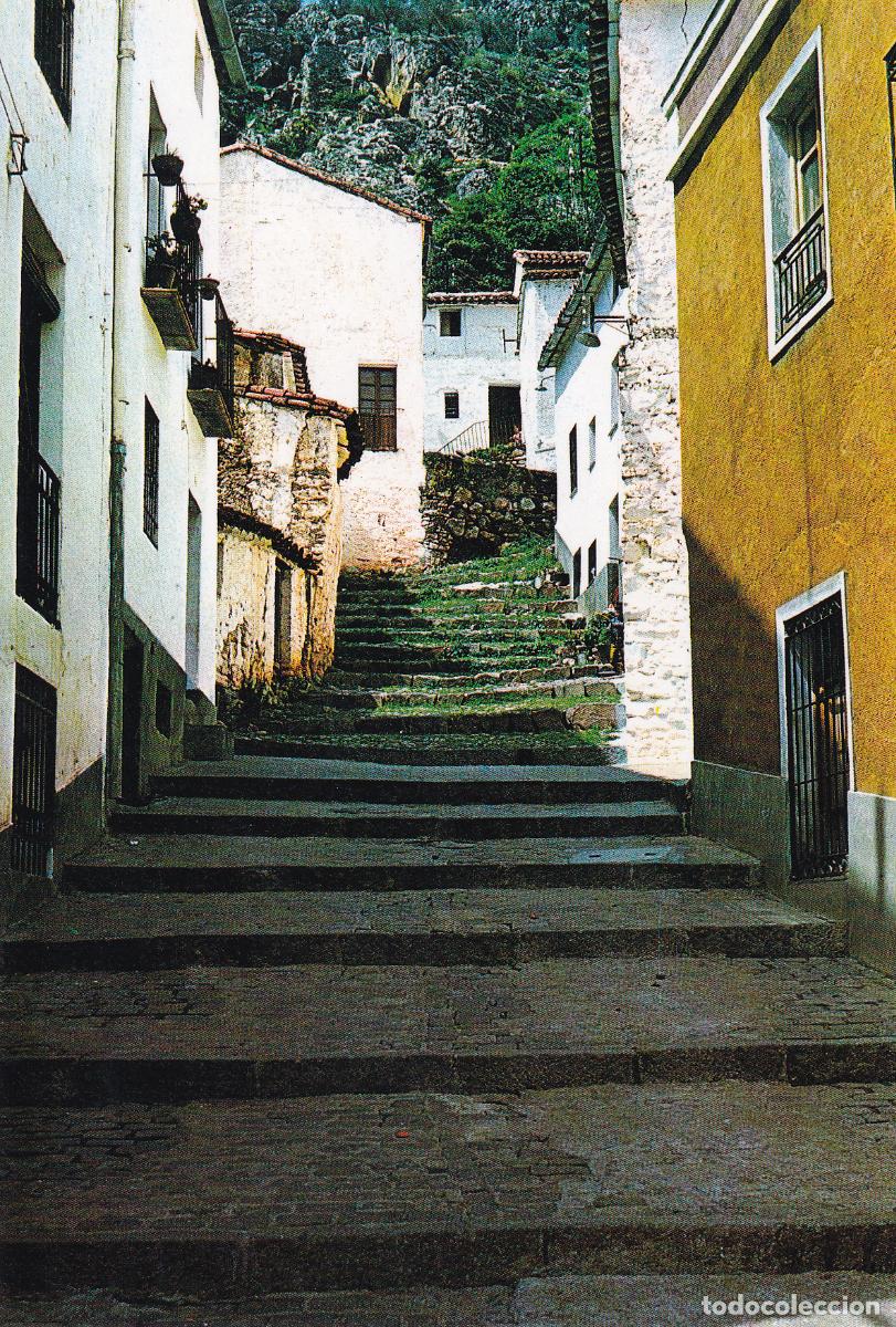 Postales: FUENCALIENTE - Foto 1