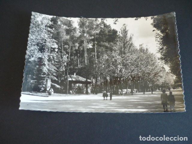 Postales: ALBACETE PASEO CENTRAL DEL PARQUE - Foto 1